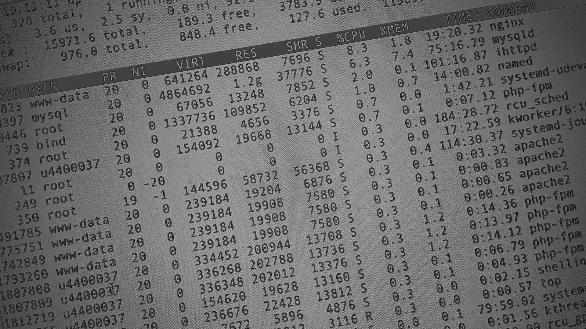 Настройка сервера в Кировграде