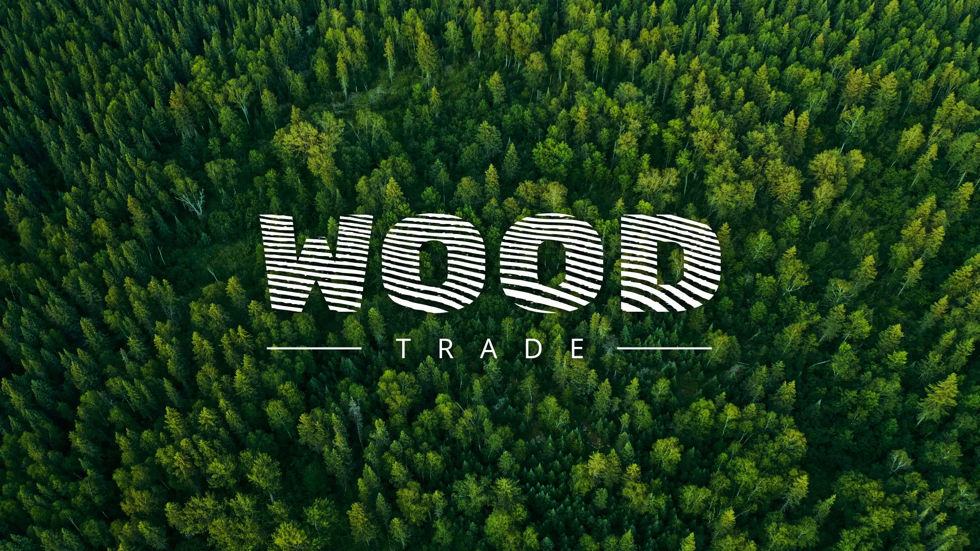 Разработка интернет-магазина компании «Wood Trade» в Кировграде